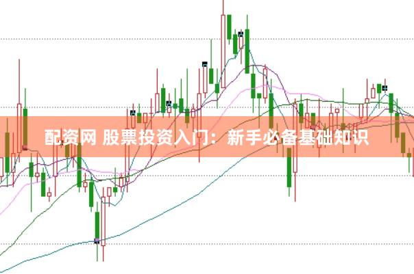 配资网 股票投资入门：新手必备基础知识