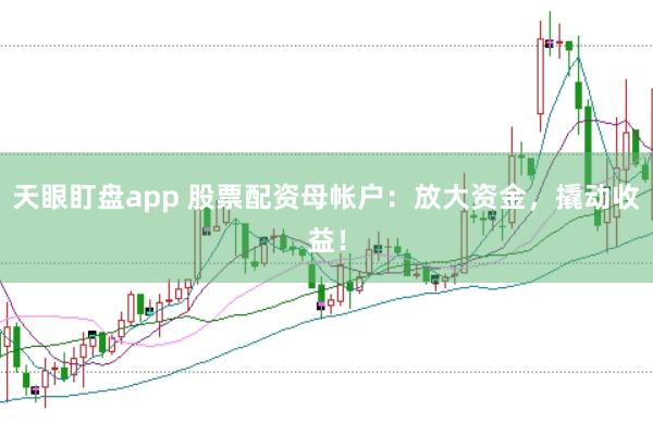 天眼盯盘app 股票配资母帐户：放大资金，撬动收益！
