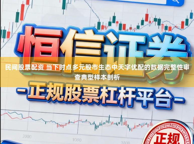 民间股票配资 当下时点多元股市生态中天宇优配的数据完整性审查典型样本剖析