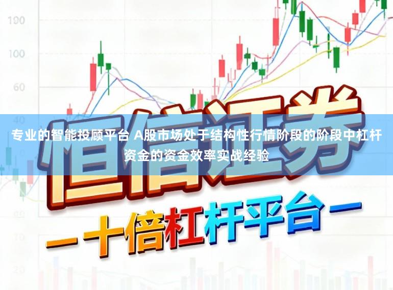 专业的智能投顾平台 A股市场处于结构性行情阶段的阶段中杠杆资金的资金效率实战经验